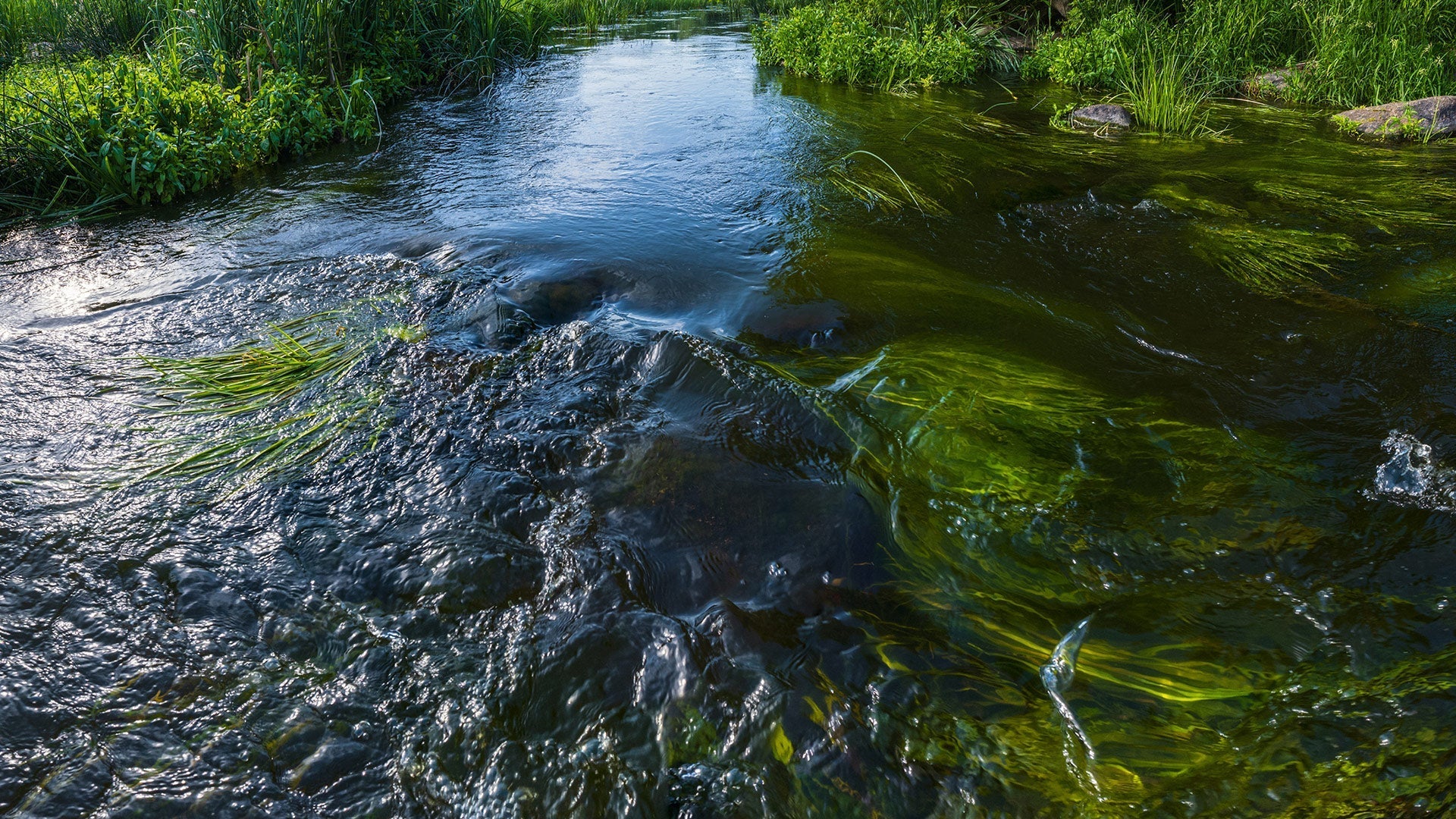 The Hidden Danger in Natural Water Sources