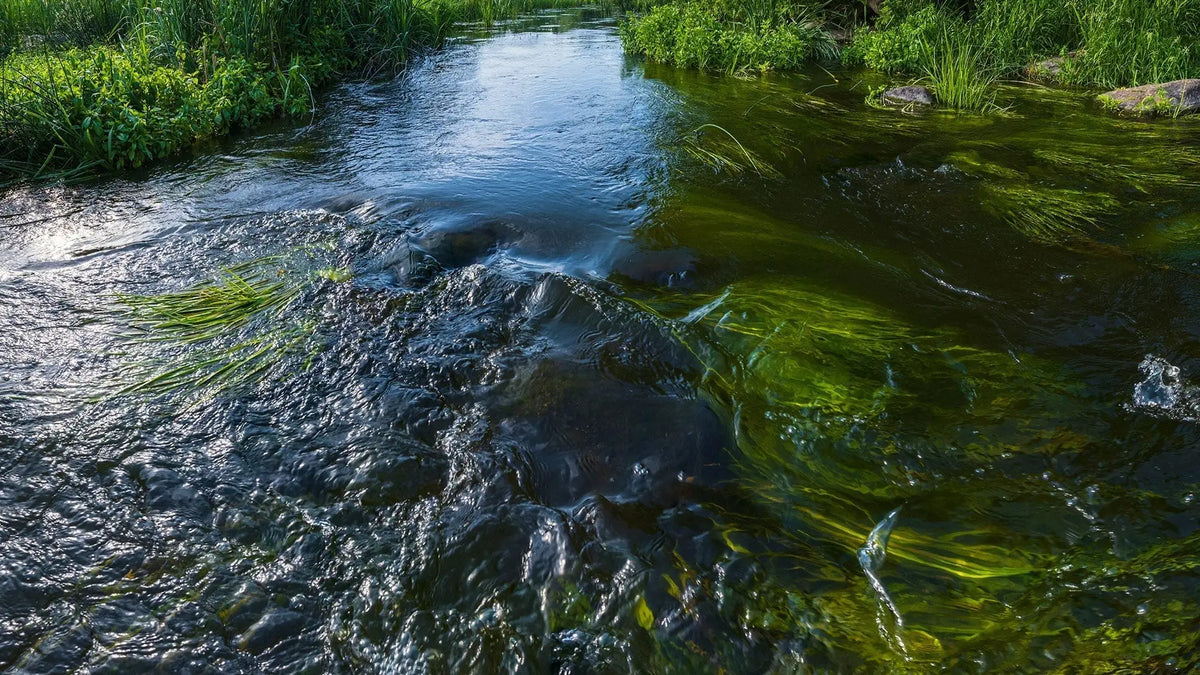 The Hidden Danger in Natural Water Sources