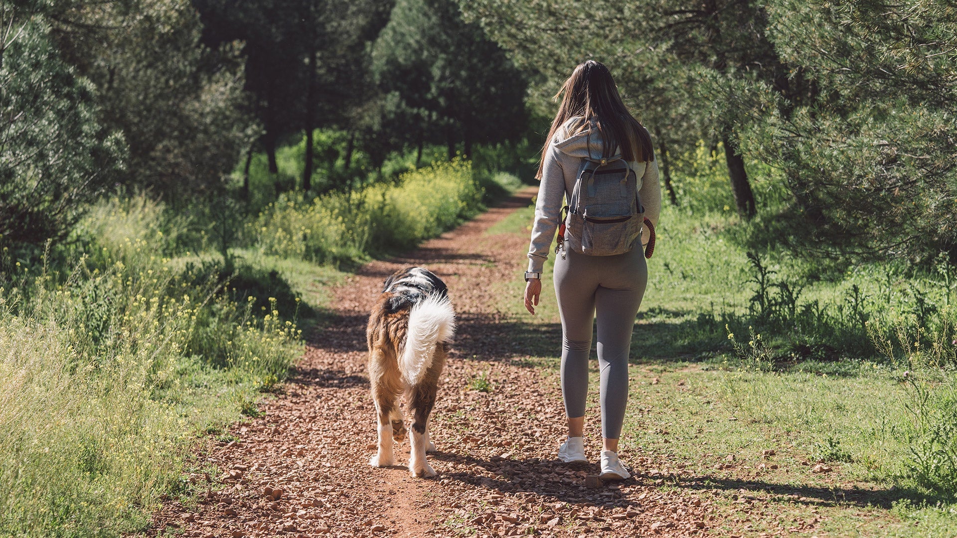 How a Portable Water Purifier Keeps Pets Hydrated on the Go