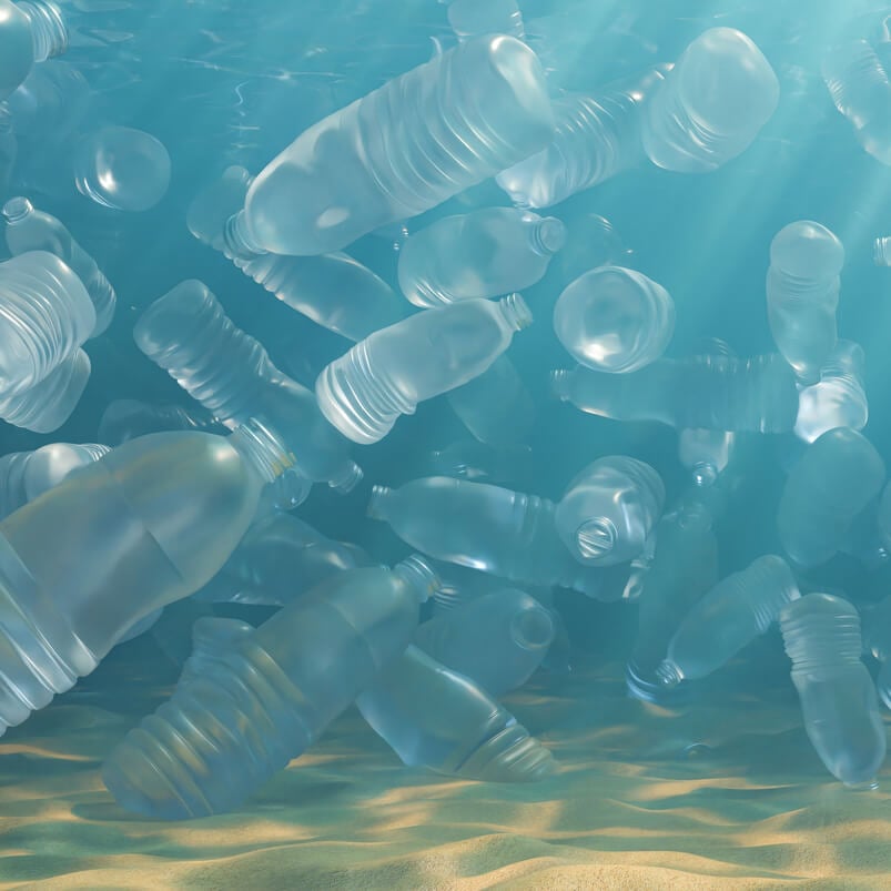 Why are sea animals eating so much plastic?