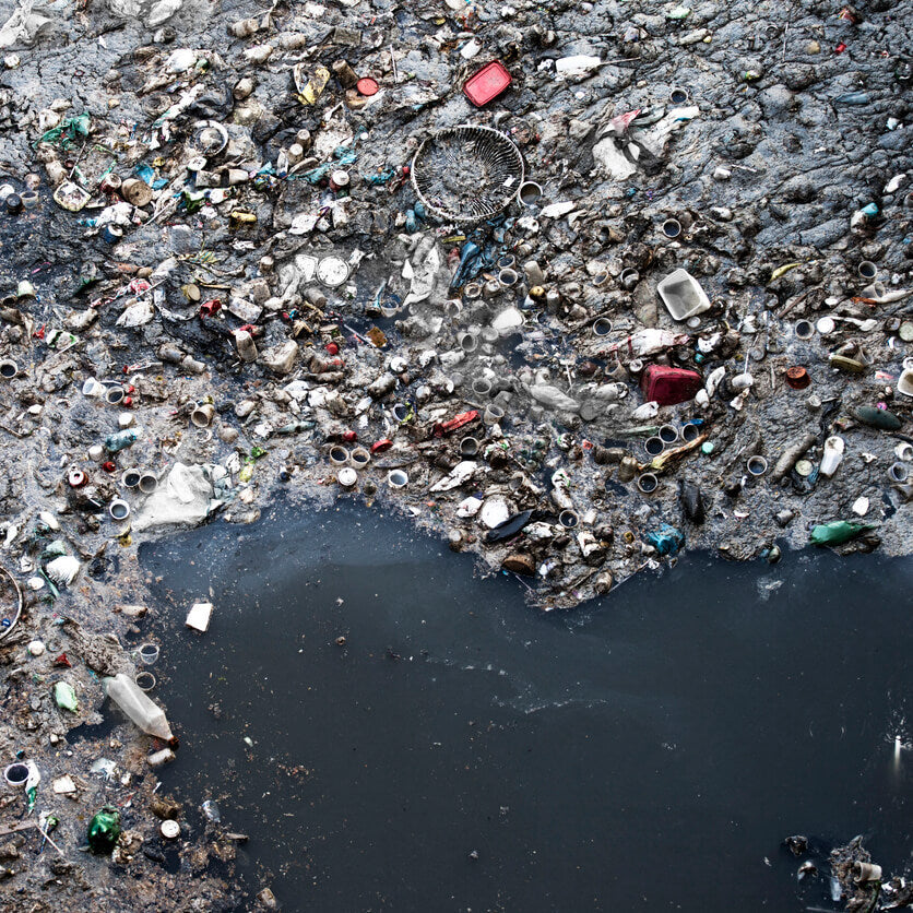 Get Plastic Out of Our Oceans with this Alternative