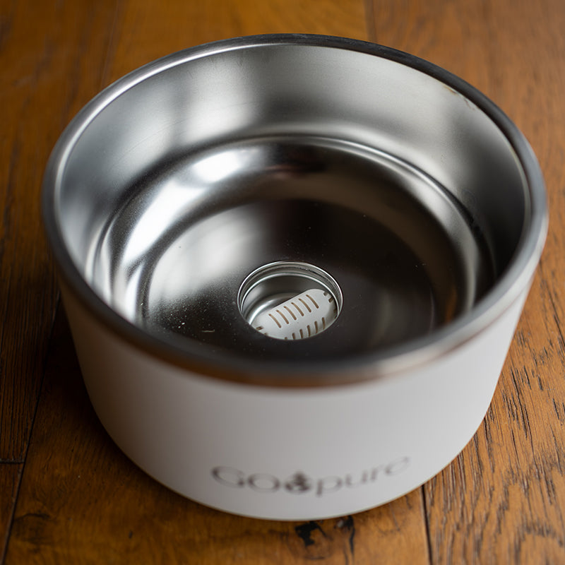 Filtered Water Bowl