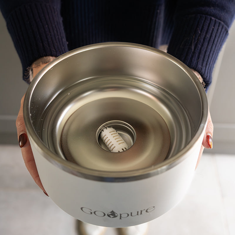 Filtered Water Bowl